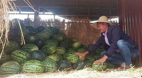 冷滩吃瓜群众,揭秘街头巷尾的热辣话题