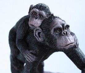 网红猩猩蛋糕,萌宠风潮下的甜蜜诱惑