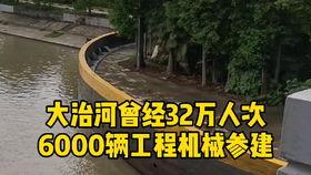 上海郊区今天新闻头条,探索乡村振兴新路径，打造绿色生态宜居示范点