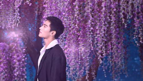 中国明星花絮大全,揭秘中国明星花絮大全