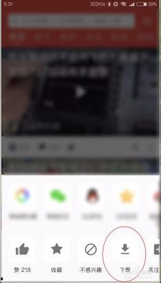 暗恋假装吃瓜视频下载